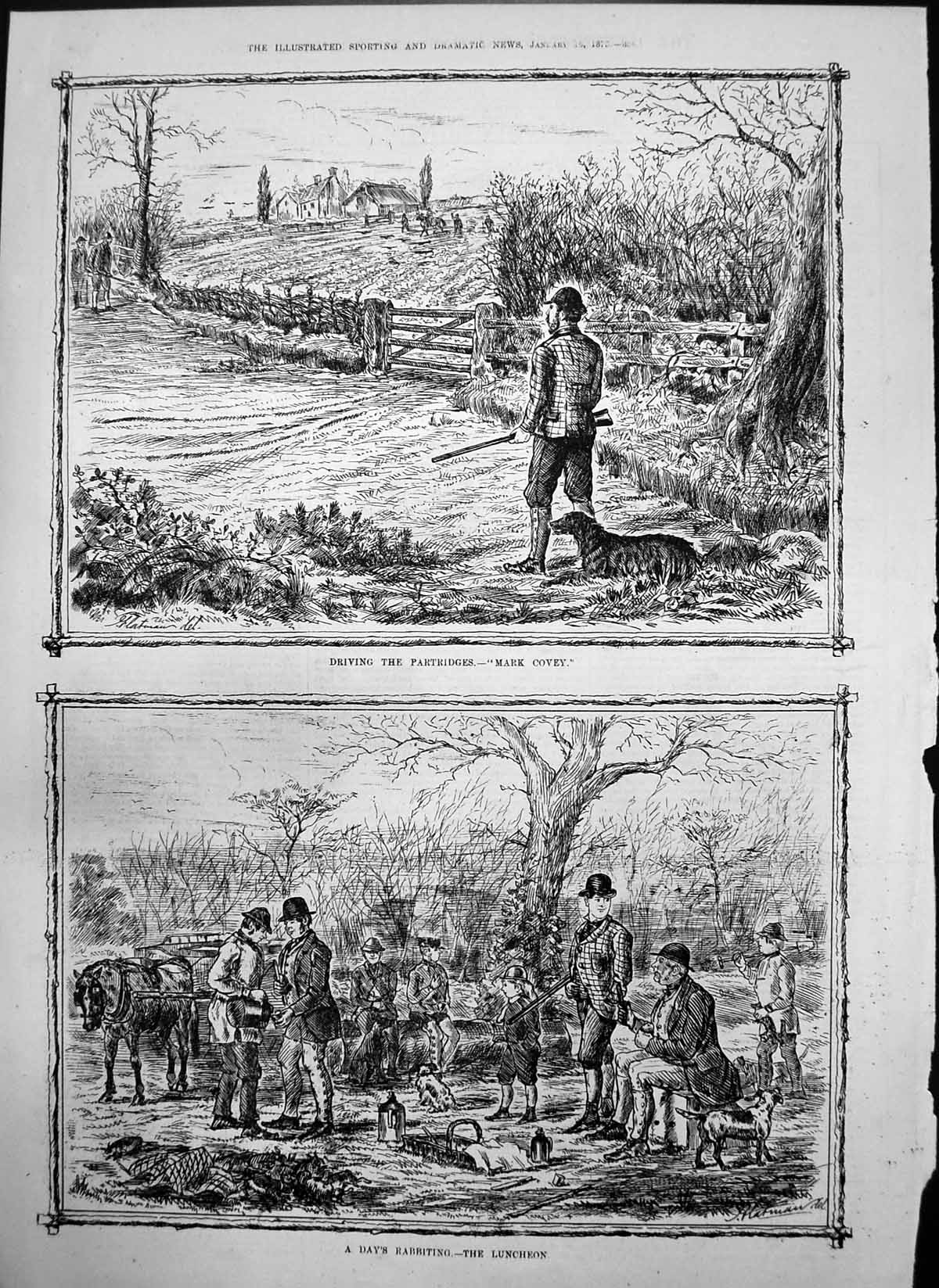 Antique Old Print Driving Partridges Mark Covey Days Rabbiting Luncheon 1875