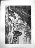 Old Sunrise Return Hunter With Spoils Fancy Portrait Donald Kilt 1875 Victorian