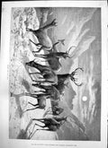 Old Frozen Out F Keyl Deer Snow Mountains Captious Critic Crier 1875 Victorian
