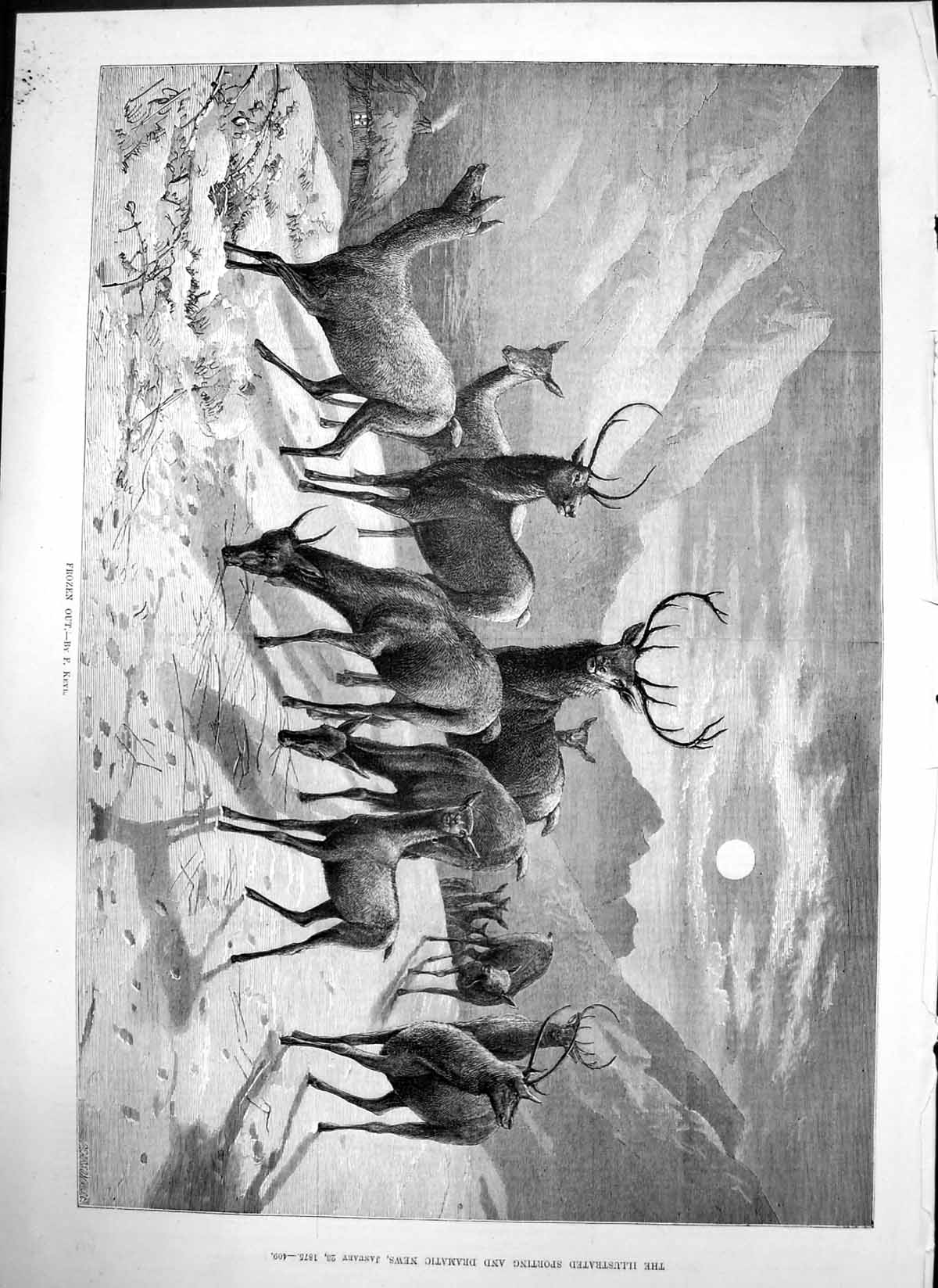 Old Frozen Out F Keyl Deer Snow Mountains Captious Critic Crier 1875 Victorian