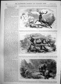 Old Antique Print Deer Driving Austria Hard Hit Death Mortal Combat 1875 19th