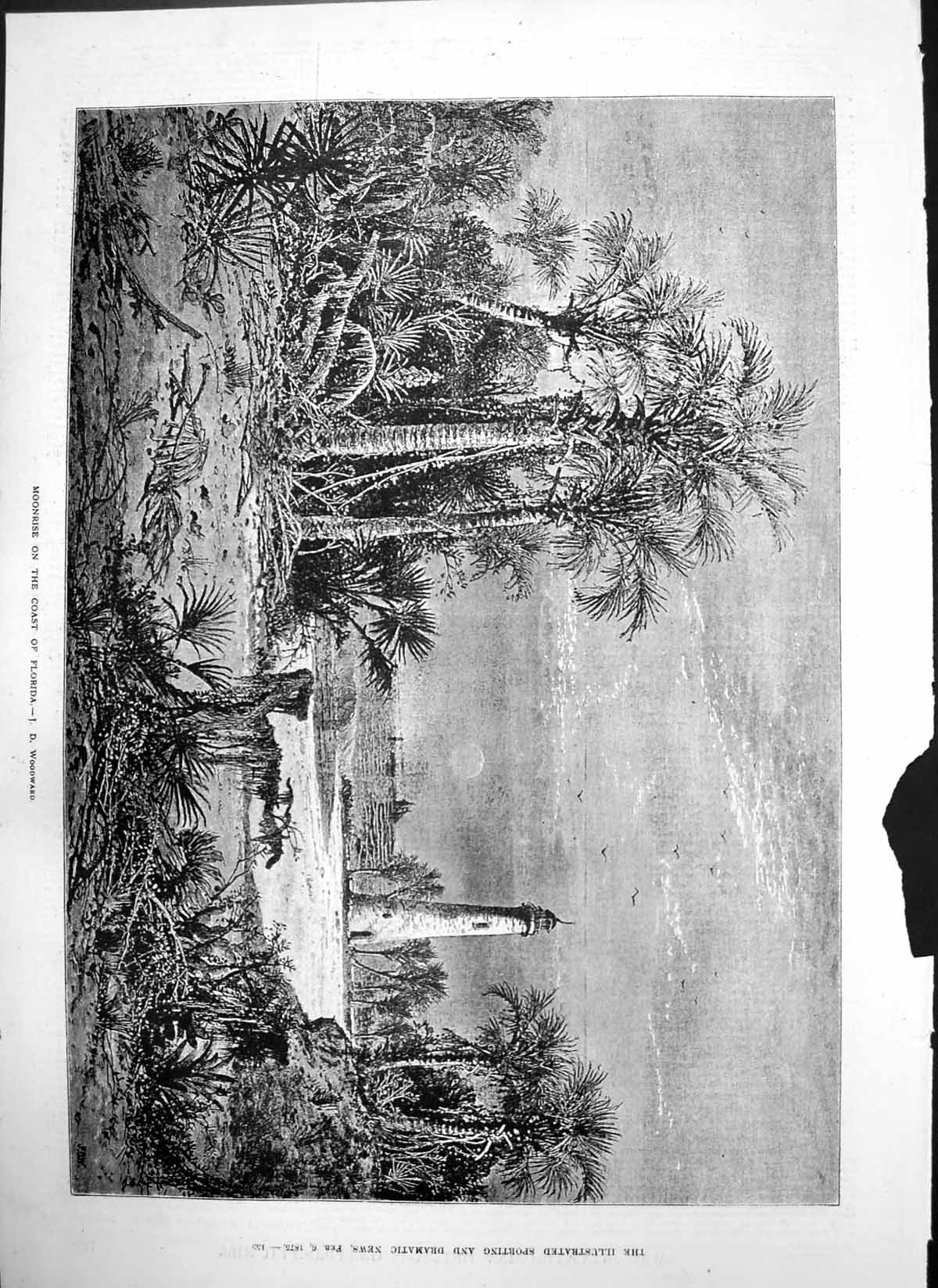 Old Print Moonrise Coast Florida J D Woodward Lighthouse Palm Trees 1875 19th