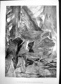 Old Antique Print Eagles Nest Mother Guards Chicks Nest Rocks Lake 1875 19th
