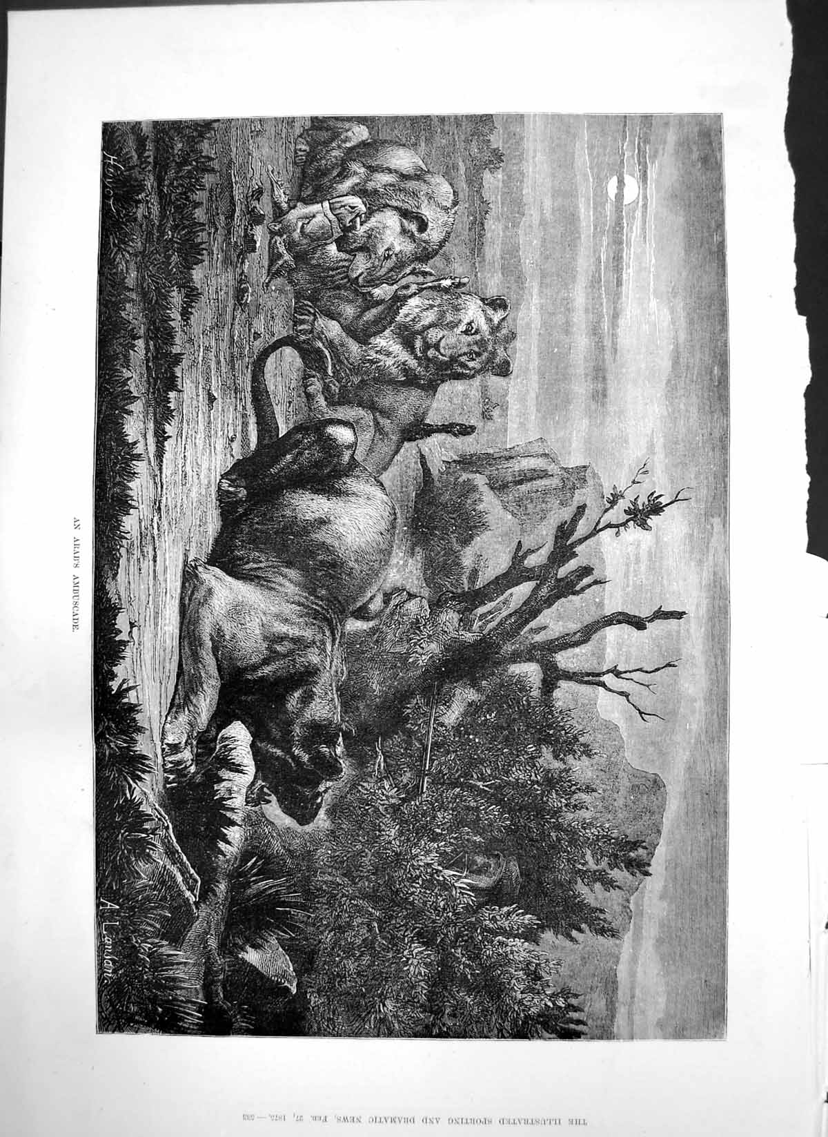 Original Old Antique Print Arabs Ambuscade Arab Approaches Lions Den Rifle 1875