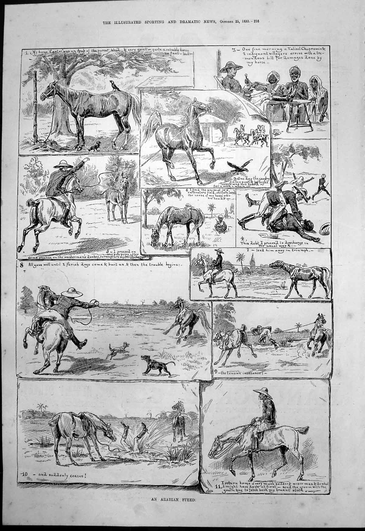 Antique Print Arabian Steed Castor Arab Breed Breaks Loose Dogs Chase 1890 19th