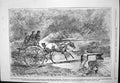 Old Danger Ahead None In Ellimans Embrocation W S Sturgess Horses 189 Victorian