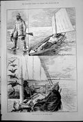Old Wild Fowling Essex Coast Over Mud Sailing Punt Birds In Sight 189 Victorian