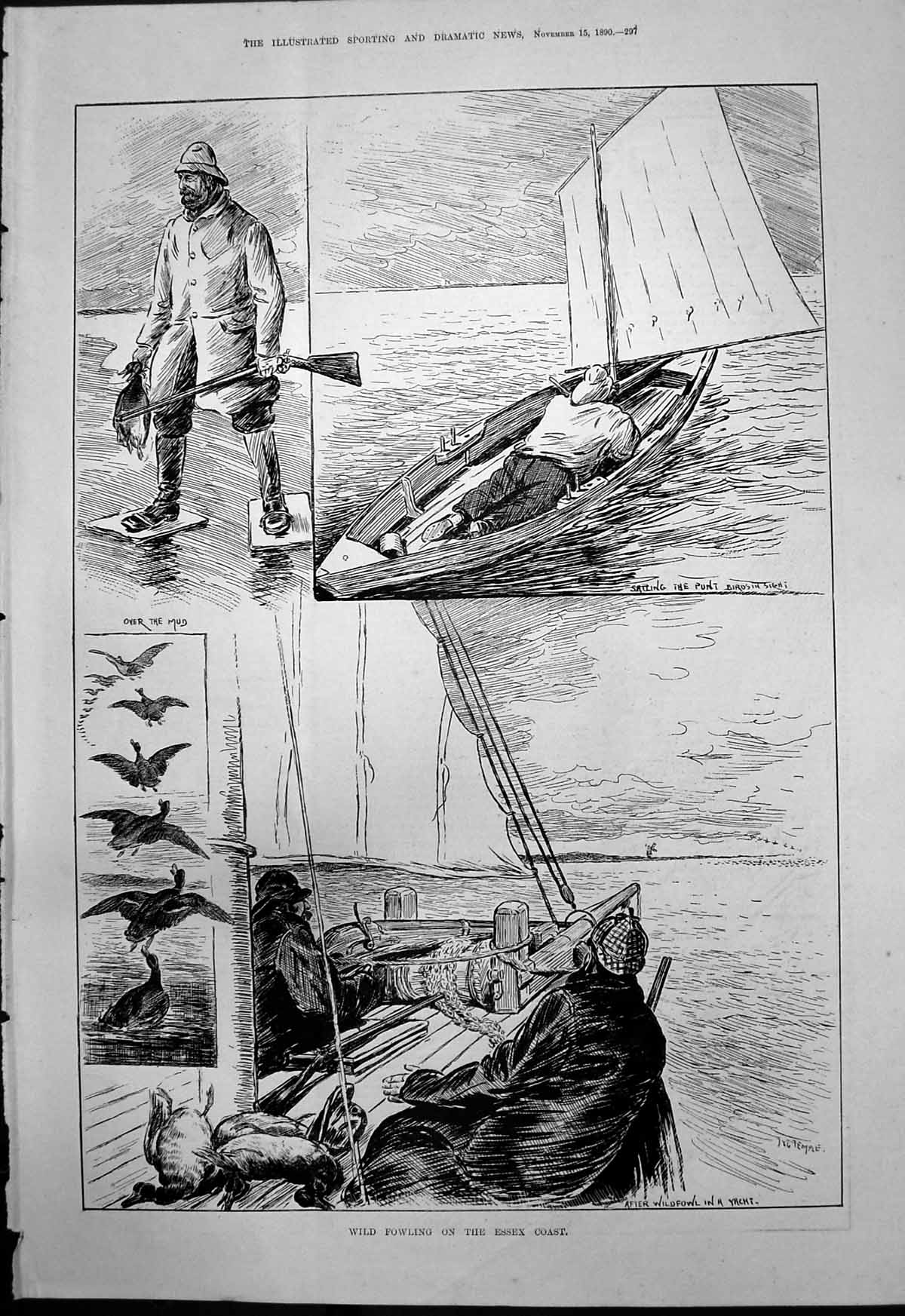 Old Wild Fowling Essex Coast Over Mud Sailing Punt Birds In Sight 189 Victorian