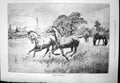 Antique Old Print Youth Freedom Maud Clarke Horses Field Train Passing 1890