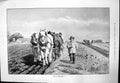 Antique Old Print Autumn Ploughing E Montefiore Horses Pulling Ploygh 1890 19th