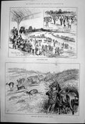 Old Antique Print Barrackpore Races Springbok Shooting South Africa 1890 19th
