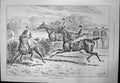 Antique Old Print Preliminary Hurdles J Sturgess Horses Jumping Fence 1890 19th