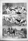 Old Print Nothing To Do Something To Do Something Done Horses Hounds 1890 19th