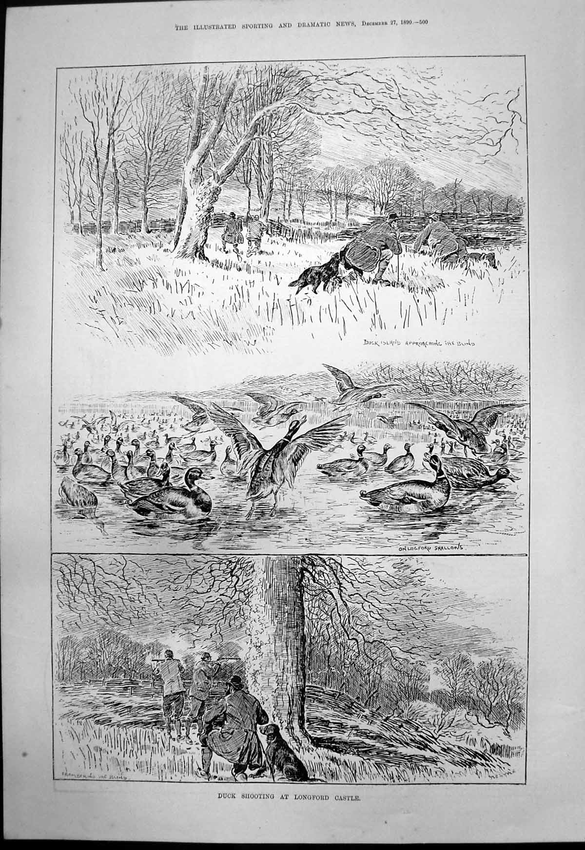 Old Duck Shooting Longford Castle Duck Island Approaching Blind 1890 Victorian