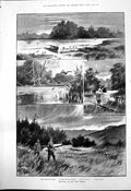 Antique Print Shooting New Forest Spot Duck Snipe Captious Critic Jane 1891