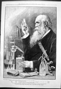 Antique Old Print Cadburys Cocoa Absolutely Pure Therefore Best Cocoa 1891 19th