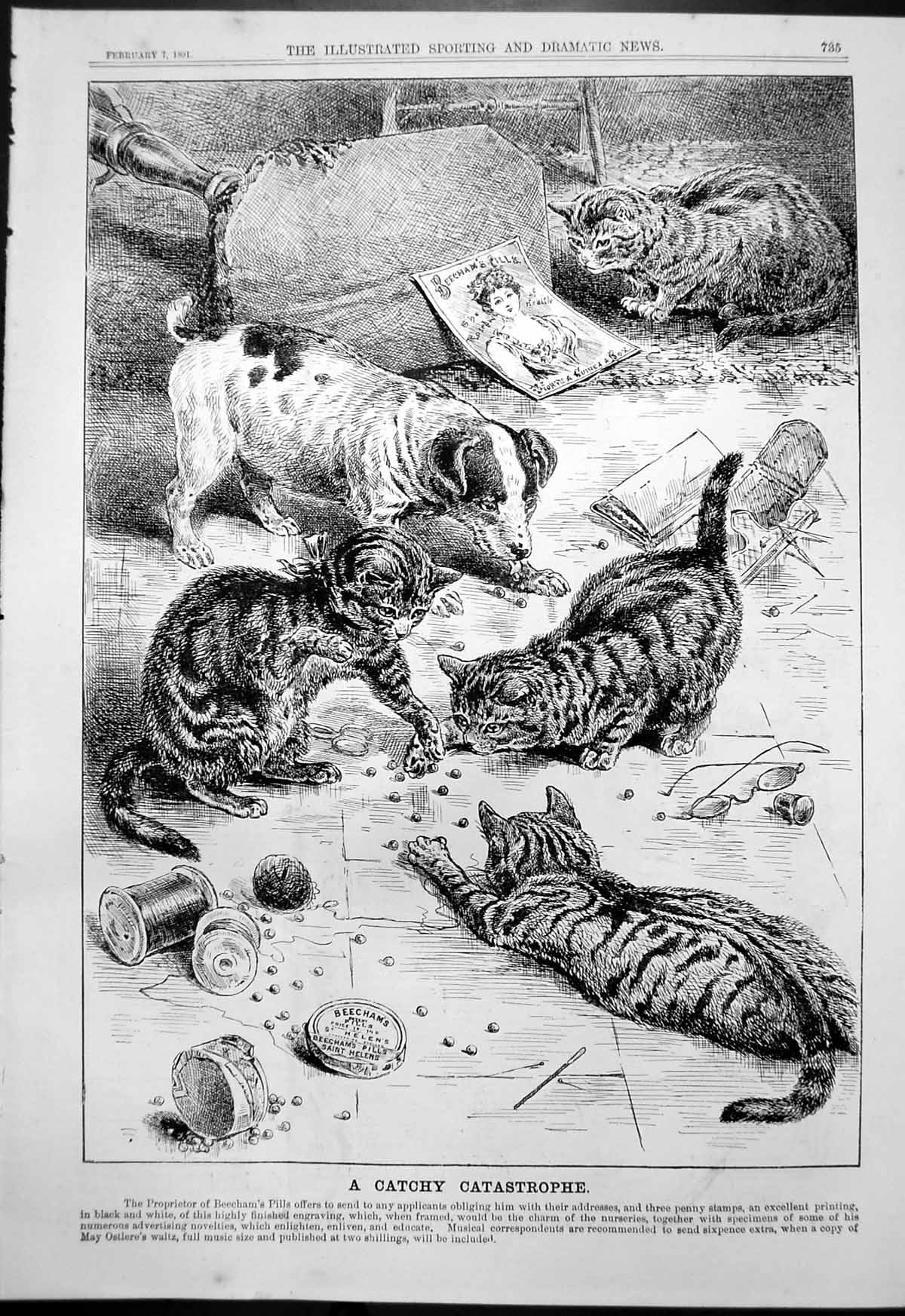 Antique Old Print Catchy Catastrophe Cats Playing With Beechams Pills 1891 19th