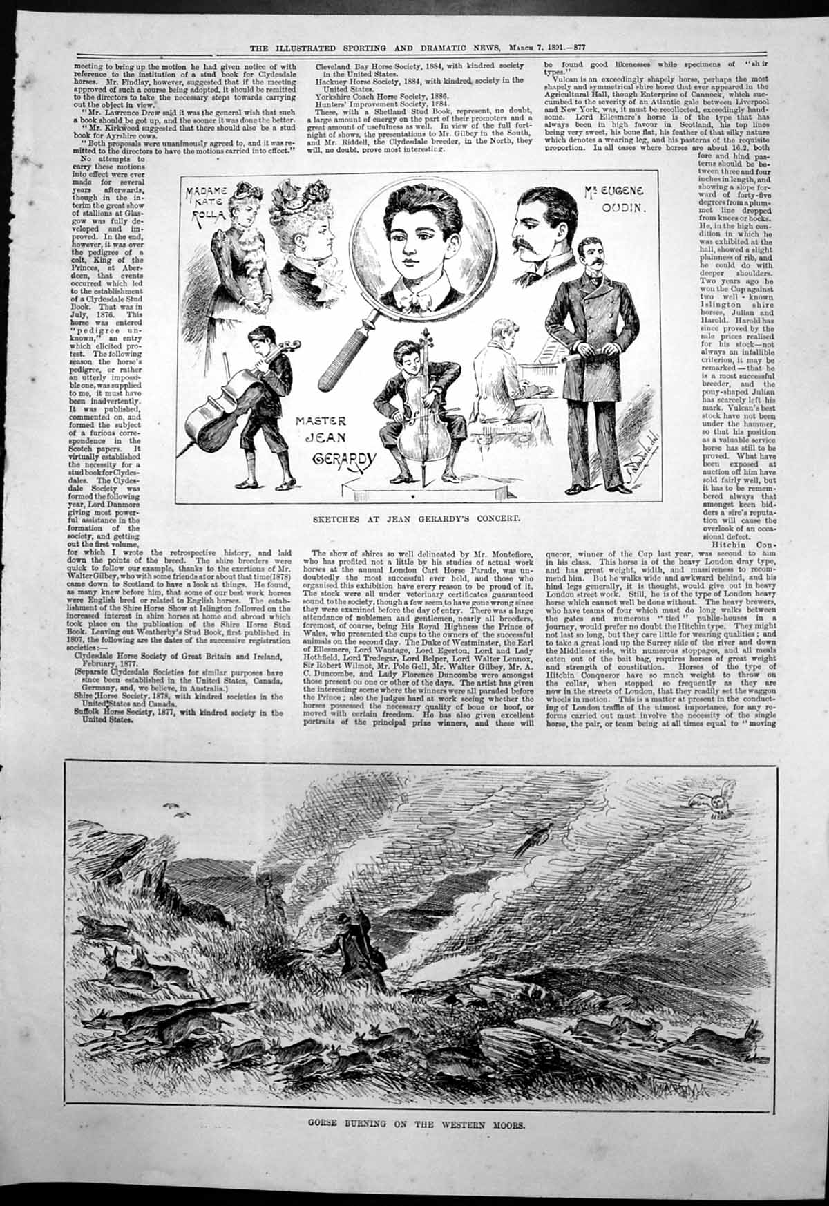 Old Antique Print Gorse Burning Western Moors Jean Gerardys Concert 1891 19th