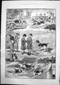 Old Kennel Hopes Caldwell Dogs Rabbit Cat Tree Chasing Duck Hen 1891 Victorian