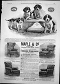 Antique Old Print Hudsons Soap Four Puppies Maple & Co Furniture Chairs 1891