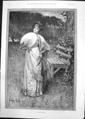 Old Summer Night D Knowles Lady Fan Dianas Diary Ladies Dresses 1891 Victorian