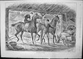 Old Print Any Port In Storm Horses Barn Sturgess Travelled Postcard 1891 19th