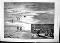 Old Fishermen Stake Nets Weirs Long Distance Swimming Start Kew 1891 Victorian