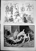 Old Uninvited Fannie Moody Puppies Kitten Jockeys Press Hurst Park 18 Victorian