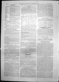 Original Old Antique Print Miss Alice Kingsley Woman Large Hat Feathers 1891
