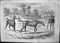 Old Antique Print Once Bit Twice Shy Sturgess Man Horses Bowl Food 1891 19th