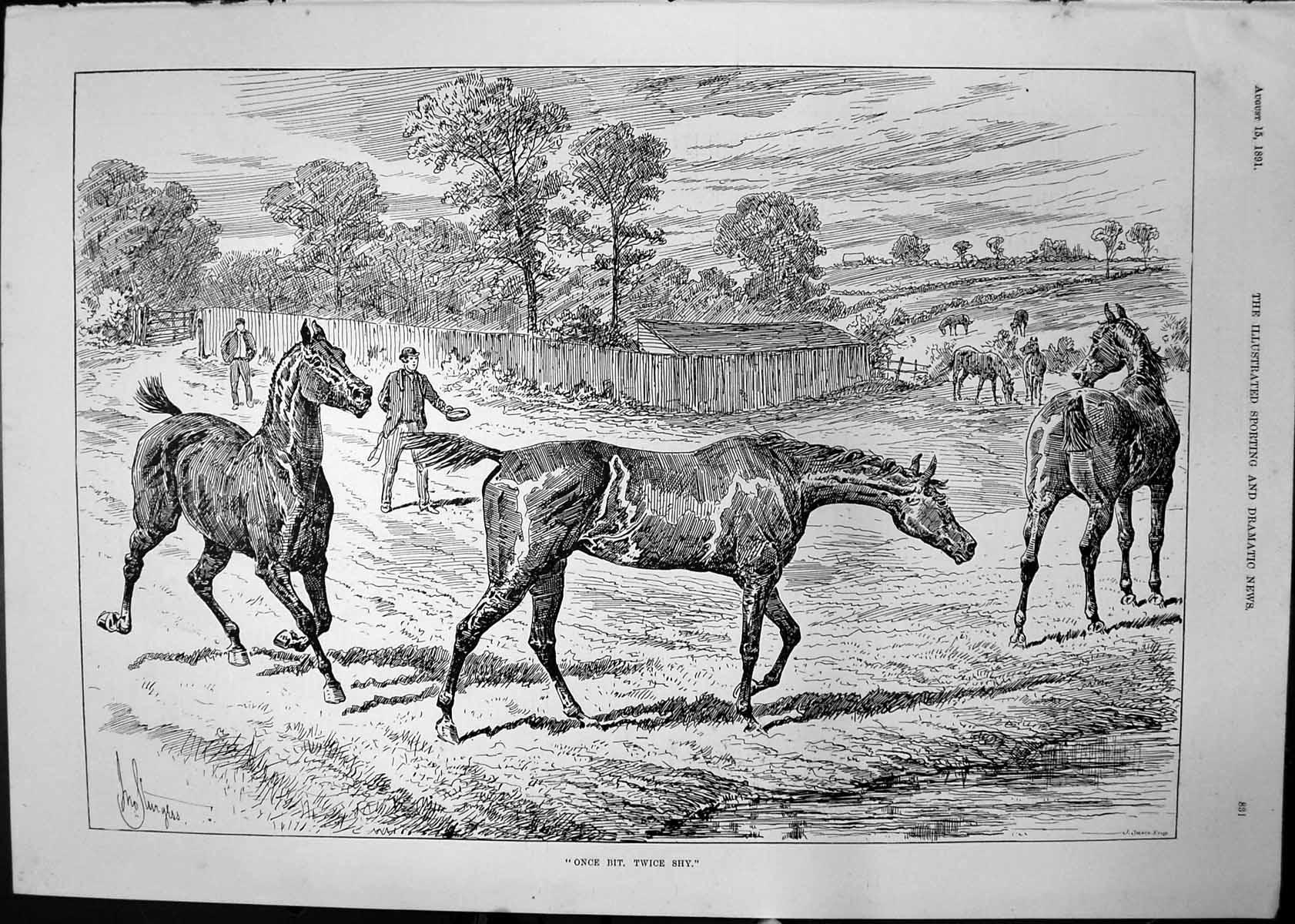 Old Antique Print Once Bit Twice Shy Sturgess Man Horses Bowl Food 1891 19th