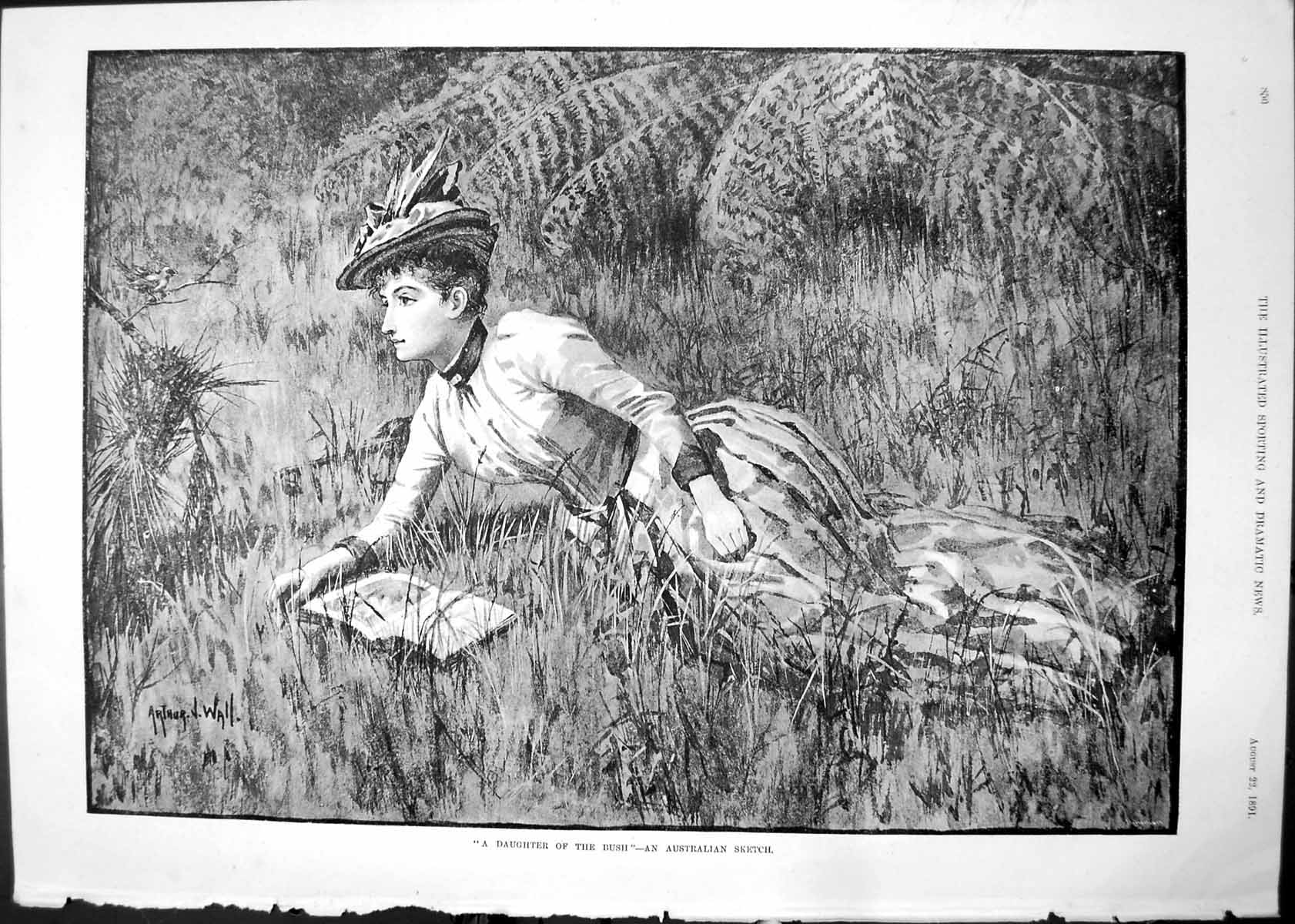 Old Daughter Bush Australian Sketch Arthur Wall Lady Reading Book 189 Victorian