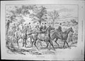 Antique Print Lessons On Road Horses J Sturgess Late Mr Louis Vincent 1891 19th