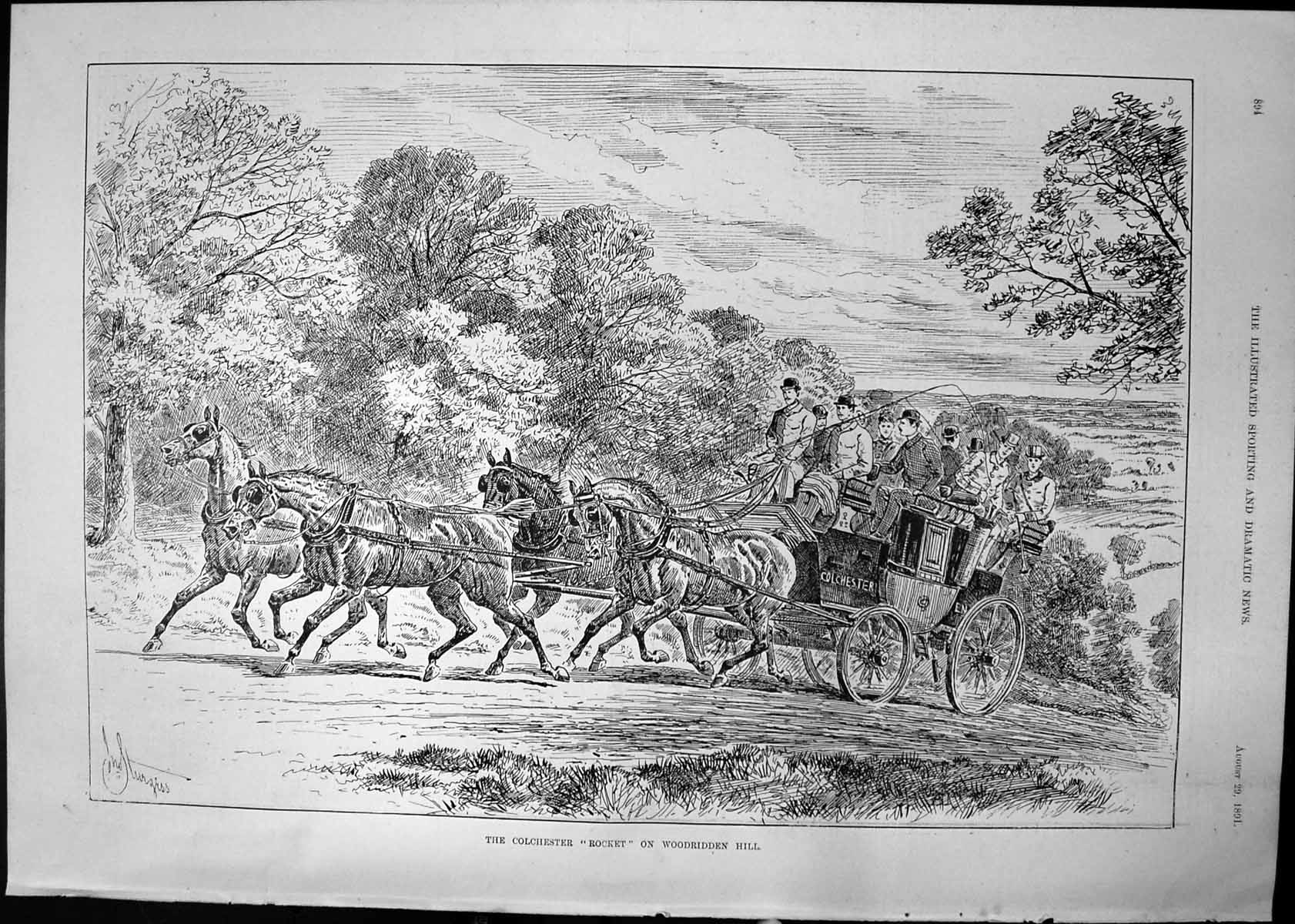 Old Colchester Rocket Woodridden Hill SturgessHorses Carriage 1891