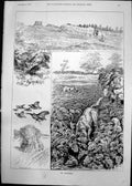 Old St Partridge T Temple Following Covey Dogs Starting Turnips 1891 Victorian