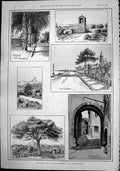 Old Queens Visit Hyeres Town Castle Hill Hermitage Hill Rue Paradis