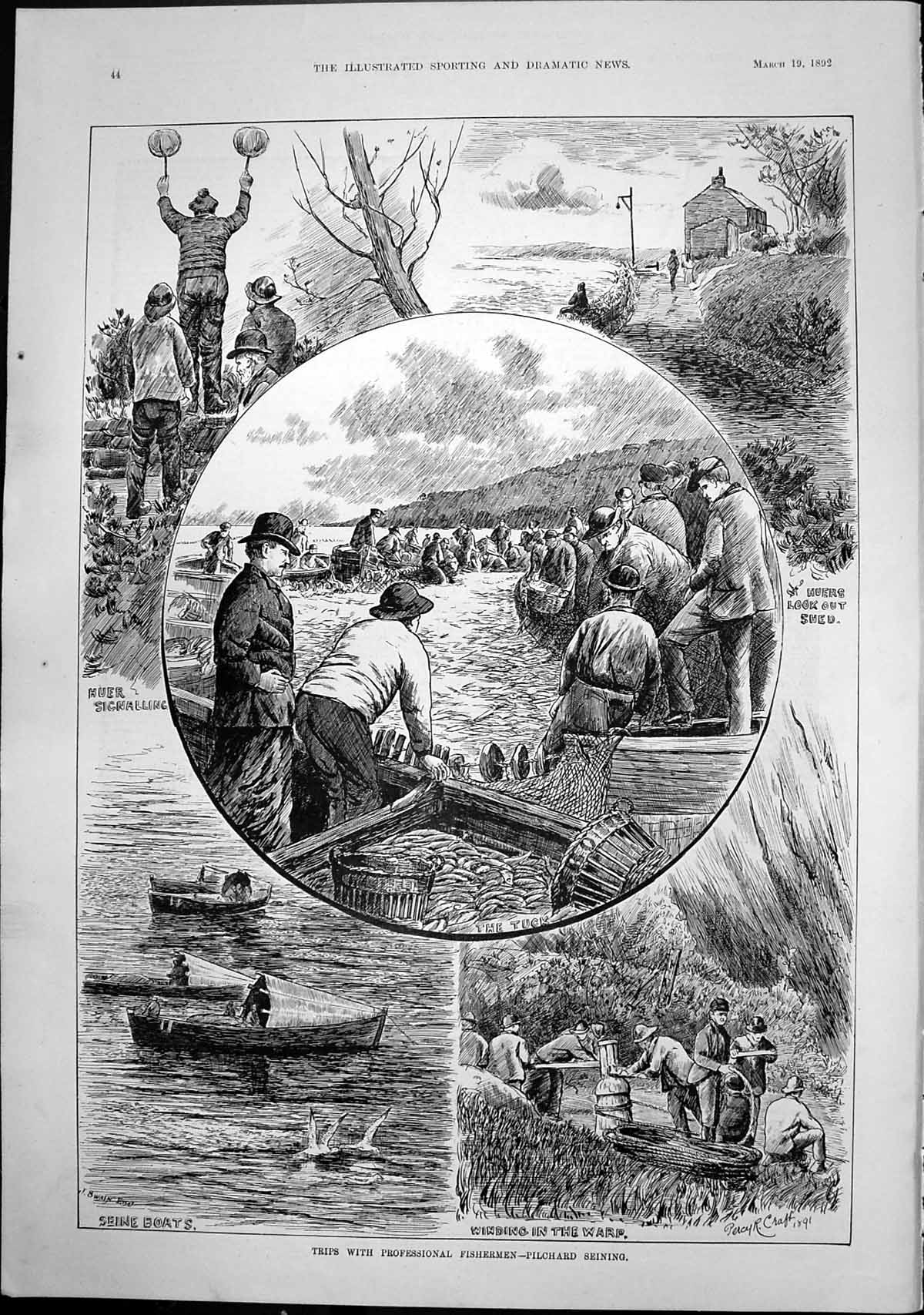 Old Print Trips With Professional Fishermen Pilchard Seining J Swain 1892 19th