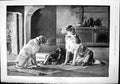 Old Close Time Maud Clarke Three Dogs Lying Rug Front Fire Kitchen 18 19th