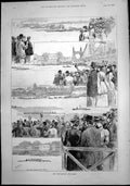 Old Print Universities Boat Race Birds Nest Three Women Hing Nest Eggs