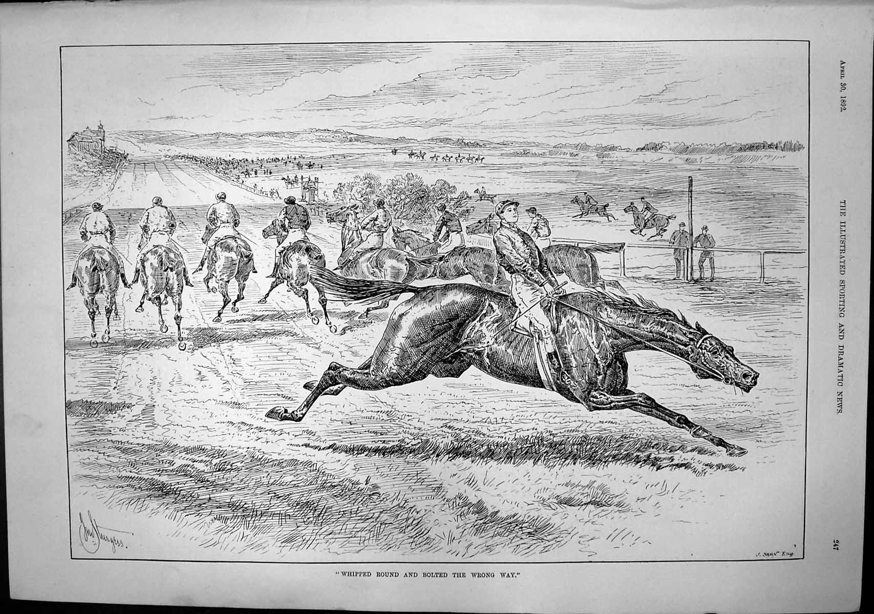 Antique Old Print Whipped Round Bolted Wrong Way Horses Mr August Manns 1892