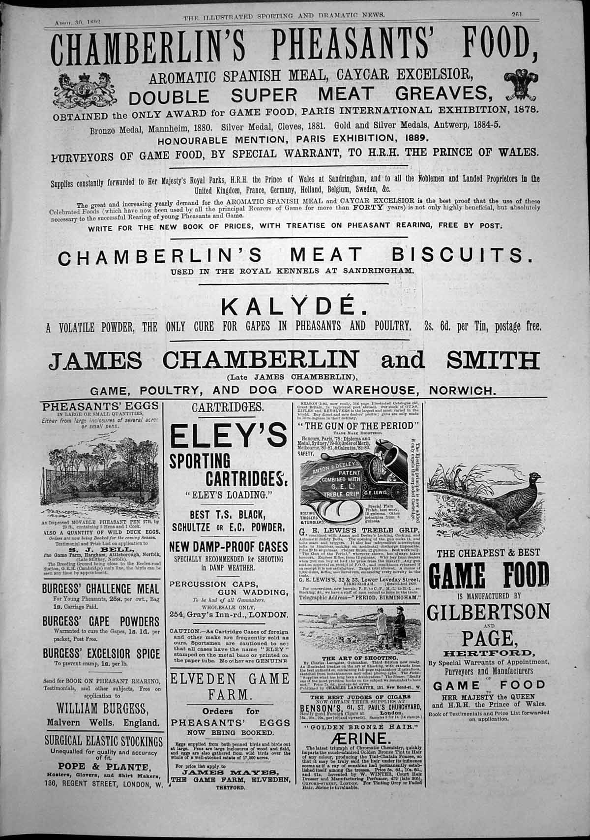 Old Antique Print Game Food Gibertson Page Eleys Sporting Cartridges 1892 19th