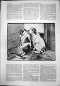Old In Disgrace F Moody Puppies Last Son Hermit On Board Tauric 1892 Victorian
