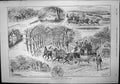 Antique Old Print Telegraph Epping Forest Coach Newmarket Charlie Jumbo 1892