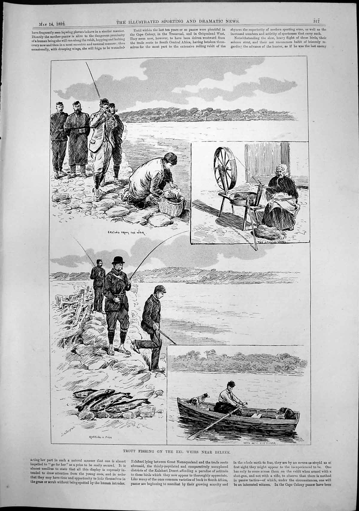 Old Trout Fishing Eel Weirs Near Beleek Casting Running Fly Fisher 18 19th