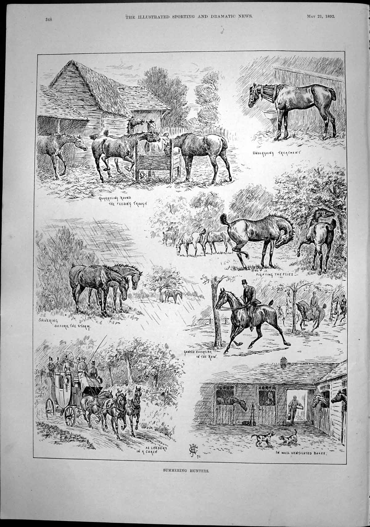 Old Summering Hunters Feeding Trough Fighting Flies Leaders Coach 189 Victorian