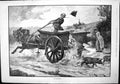 Old Antique Print Runaways Ge Robertson Man Driving Cart Pigs Escape 1892 19th