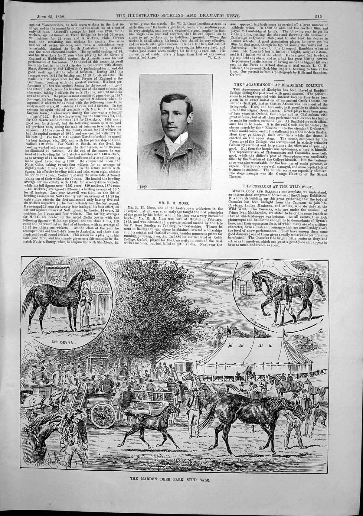 Old Print Mr R Moss Marden Deer Park Stud Sale In Stalls Young Woman 1892 19th