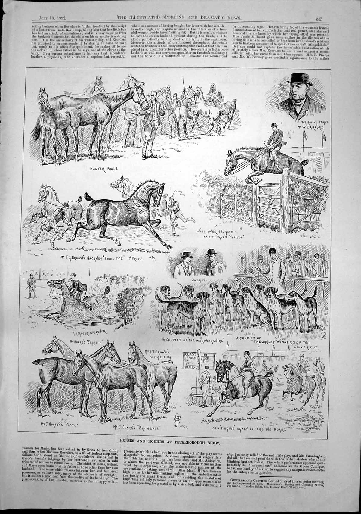 Antique Old Print Horses Hounds Peterborough Show Hunter Foals Hackney 1892