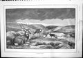 Antique Old Print An Antlered Monarch Deer Grazing Moor Stags Antlers 1892 19th