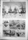 Antique Print Wild Birds Haunts New Zealand Madame Trebelli Shacklock 1892 19th